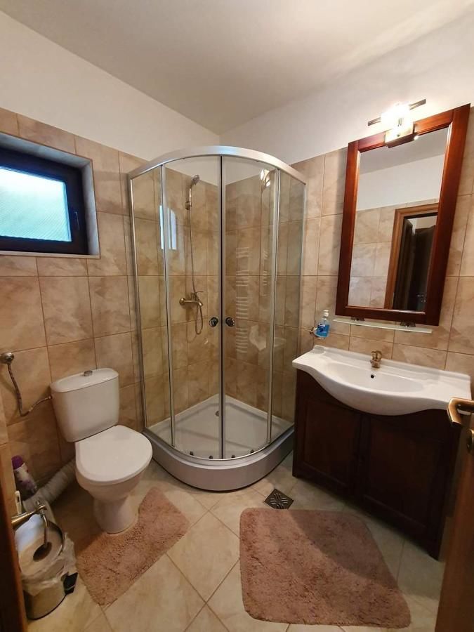Гостевой дом Villa Ade - Piatra Arsa Busteni Буштени