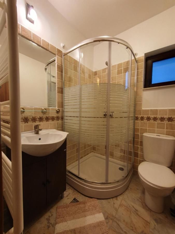 Гостевой дом Villa Ade - Piatra Arsa Busteni Буштени