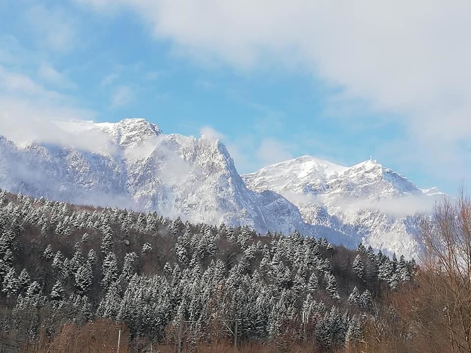 Гостевой дом Villa Ade - Piatra Arsa Busteni Буштени