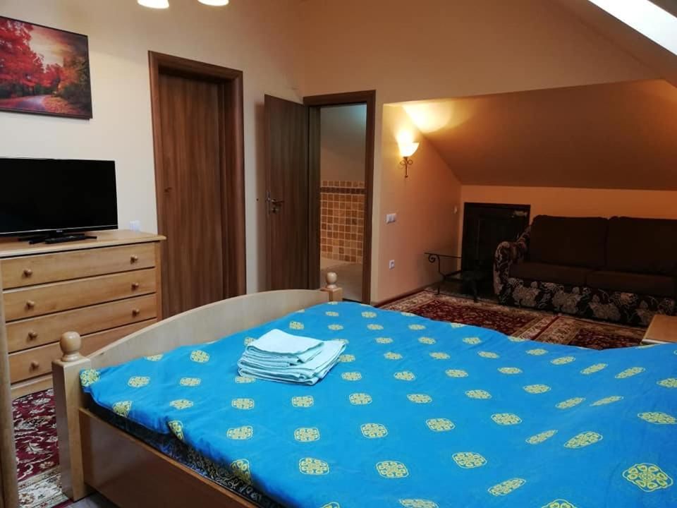 Гостевой дом Villa Ade - Piatra Arsa Busteni Буштени