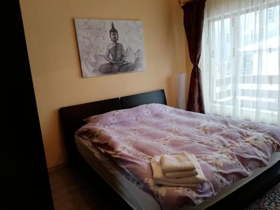 Гостевой дом Villa Ade - Piatra Arsa Busteni Буштени