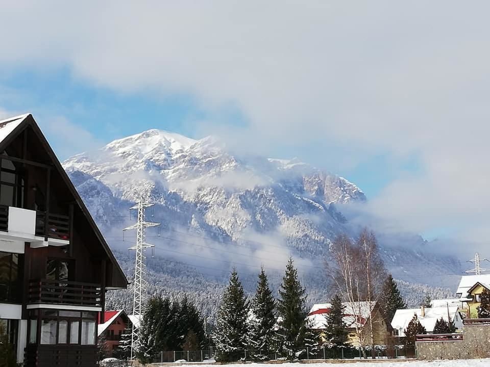 Гостевой дом Villa Ade - Piatra Arsa Busteni Буштени