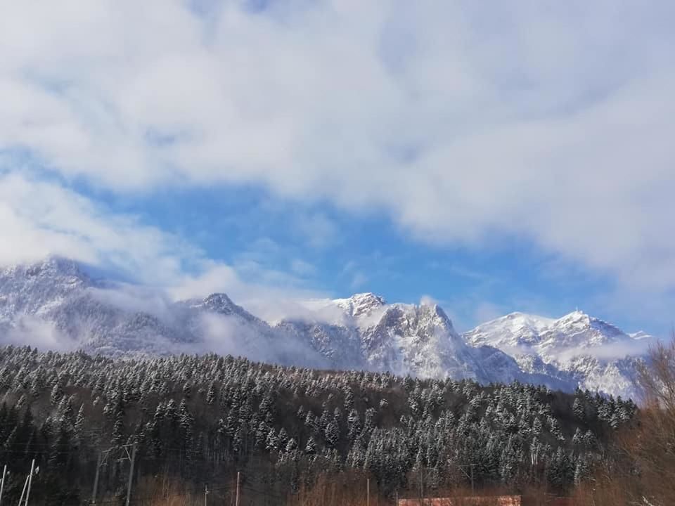 Гостевой дом Villa Ade - Piatra Arsa Busteni Буштени