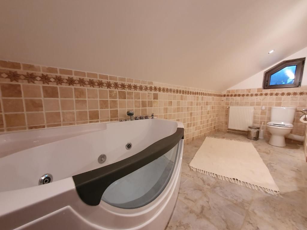 Гостевой дом Villa Ade - Piatra Arsa Busteni Буштени